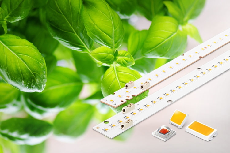Horticulture-LEDs_main_1.jpg