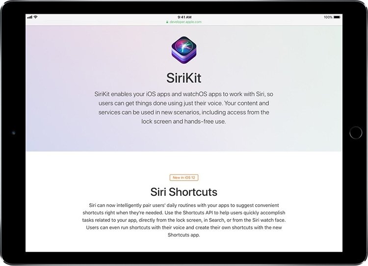 safari-sirikit-site-display-ipad-screenshot-02 copy.jpg