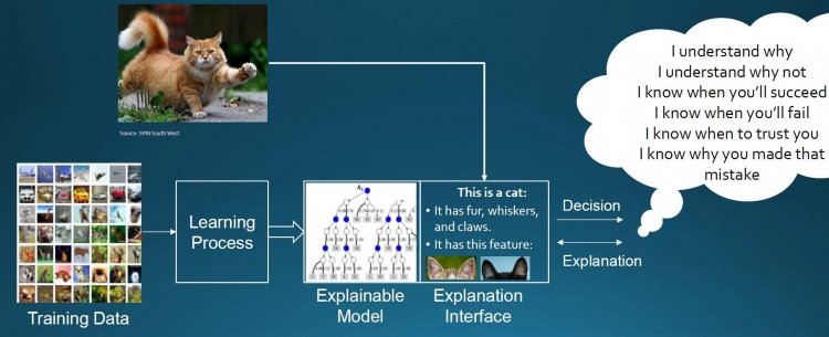 sm.AI-Models-to-explain-decisions.750.jpg