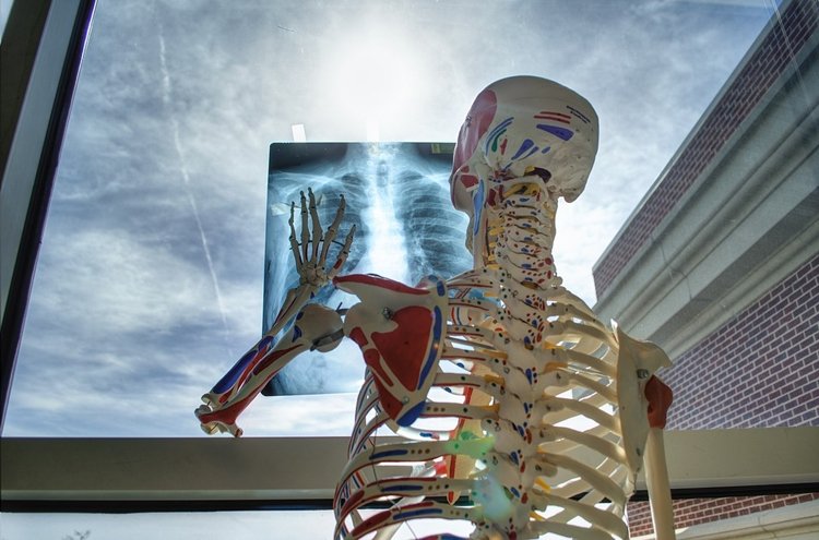 med2.jpg