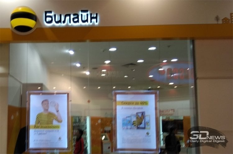 bee1.jpg