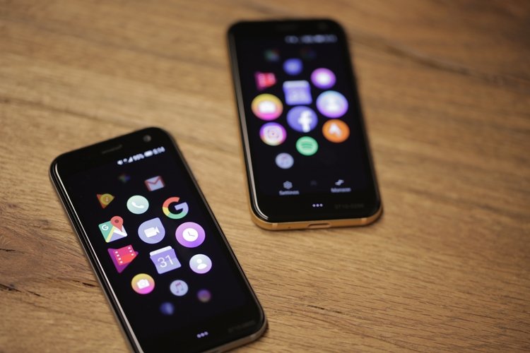 palm2.jpg