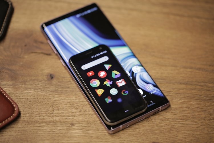 palm3.jpg