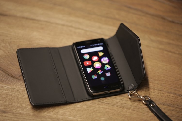 palm4.jpg