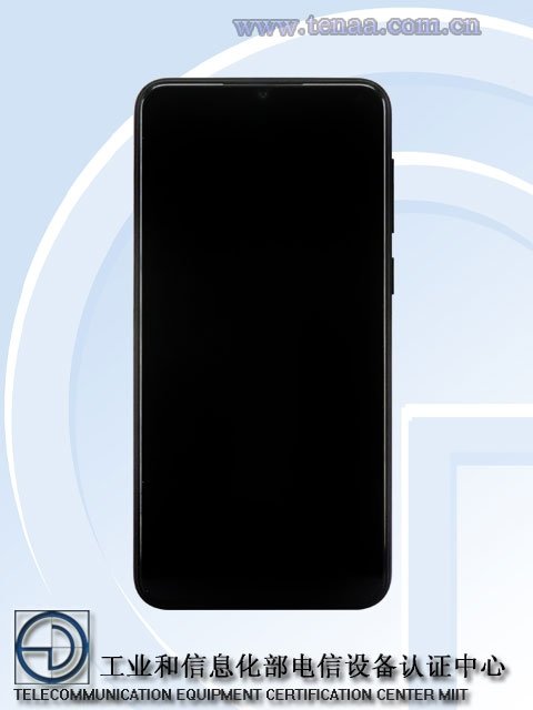 vivo1.jpg