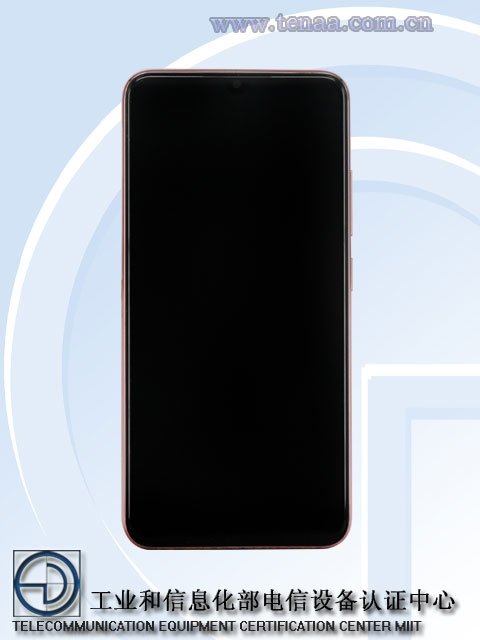 vivo1.jpg