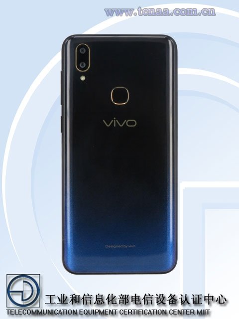 vivo2.jpg