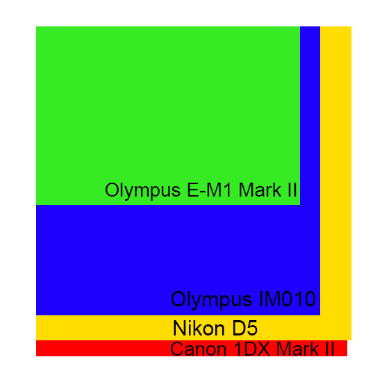 Olympus-E-M1-Mark-II-vs-Olympus-IM010-vs-Nikon-D5-vs-Canon-1DX-Mark-II.png.png