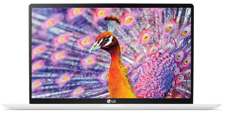 lg2.jpg