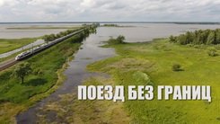pzd.jpg.5d94139d0c3e51b7e4a1d55332ce99bf.jpg