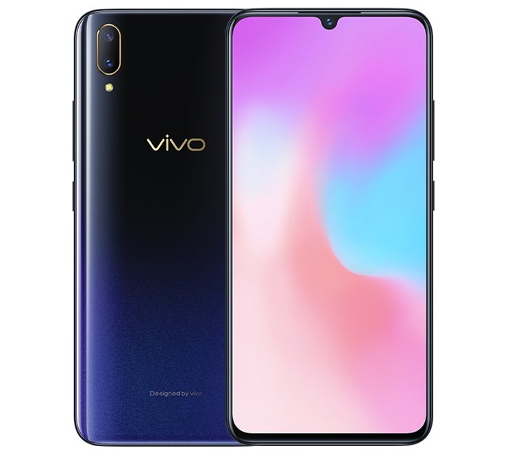 vivo1.jpg