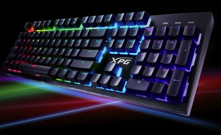 xpg1.jpg