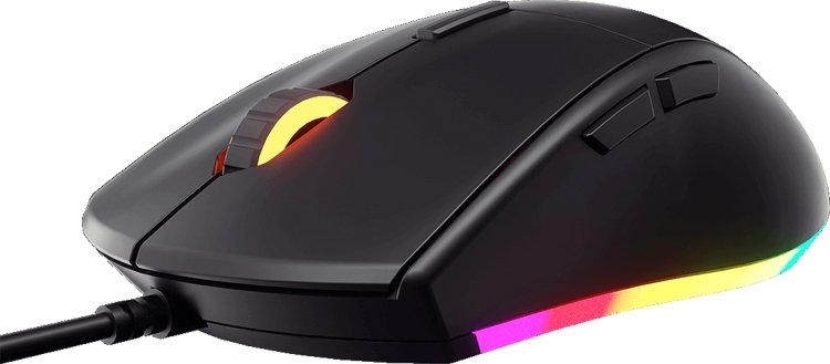 cougar1.jpg