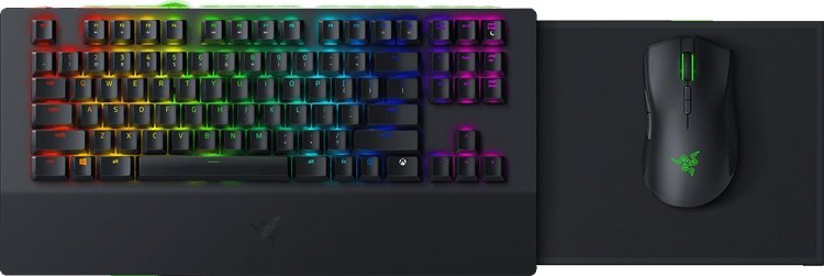 razer4.jpg