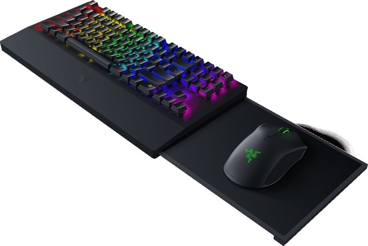 razer5.jpg