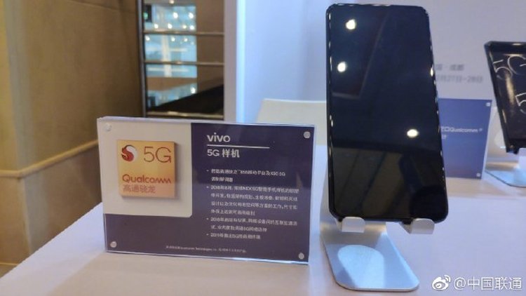 vivo1.jpg