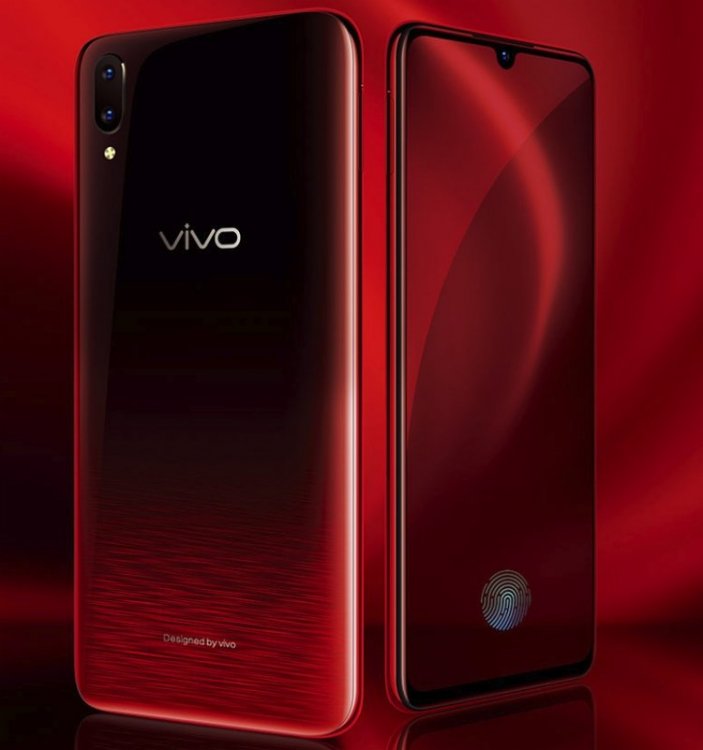 vivo1.jpg
