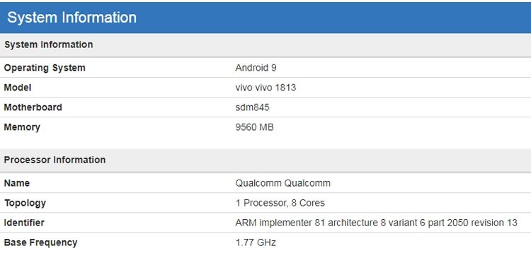 vivo2.jpg