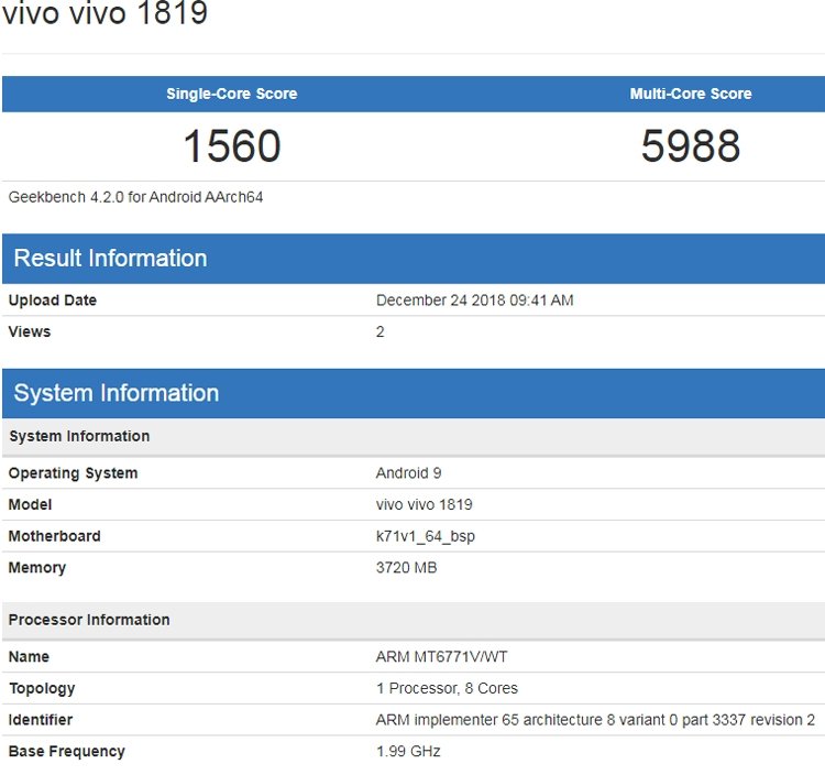 vivo2.jpg