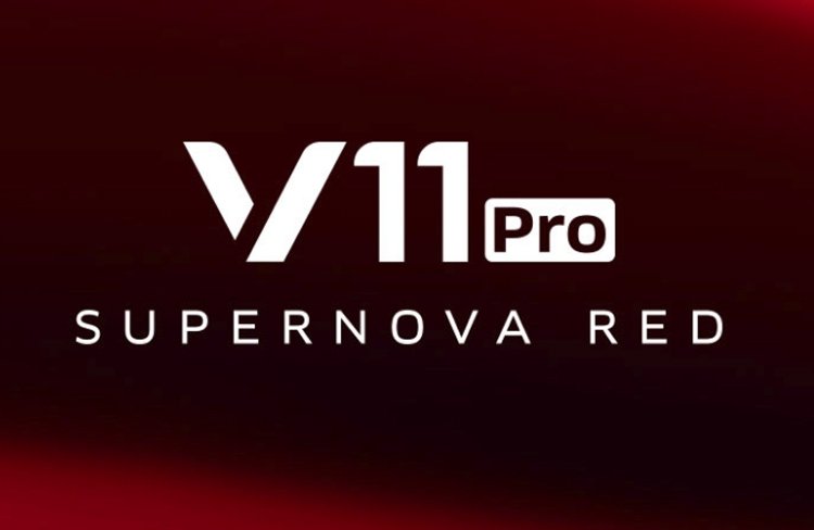 vivo2.jpg