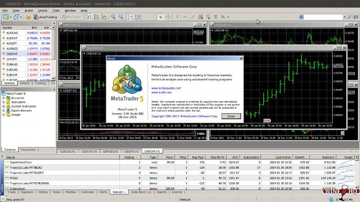 metatrader5.jpg