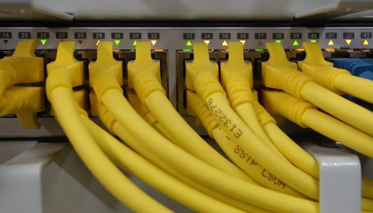 net1.jpg