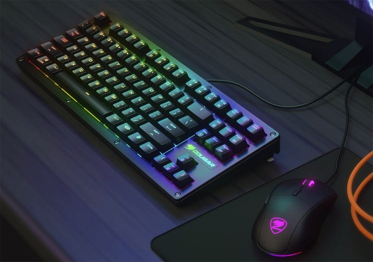 kb1.jpg