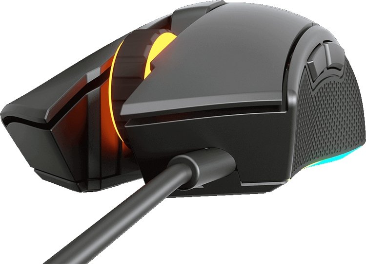 mouse4.jpg