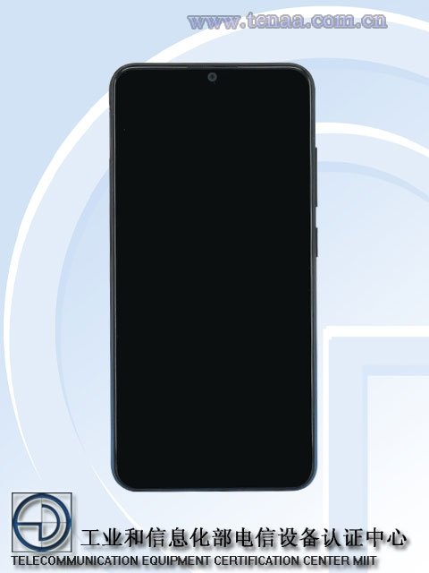 vivo1.jpg