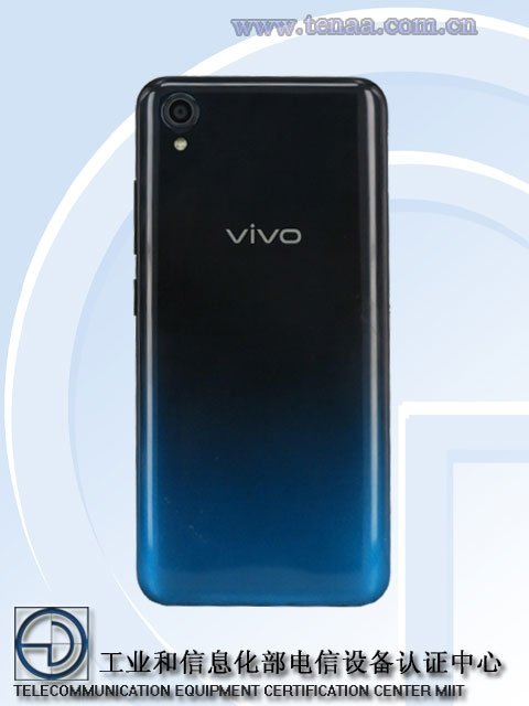 vivo2.jpg