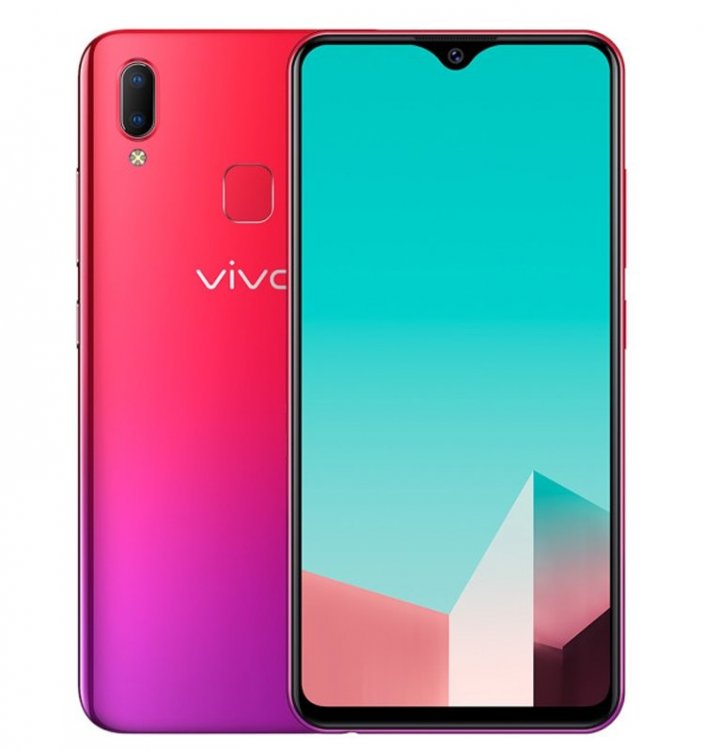 vivo2.jpg