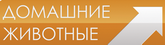domashnie_zhivotnye.png.e126dab756043b7149ec8c807d64b419.png