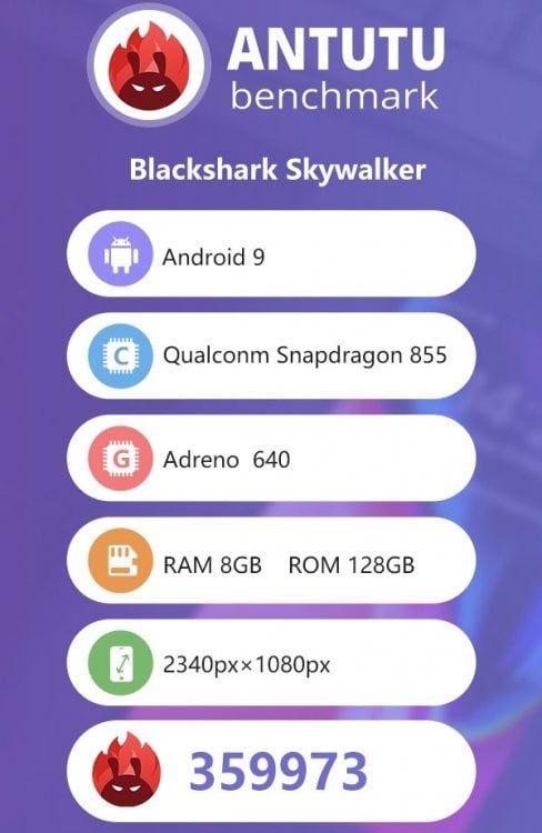 shark2.jpg