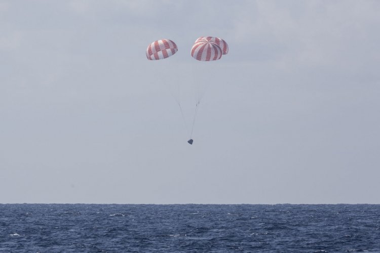 sm.02.750.jpg
