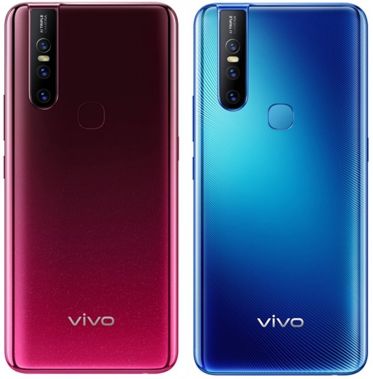 vivo4.jpg