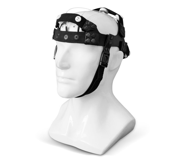brain1.jpg