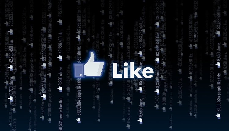 fb2.jpg