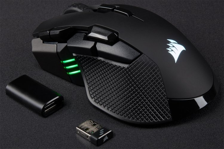 mouse1.jpg