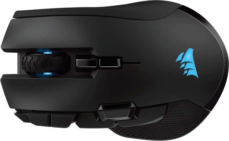 mouse2.jpg