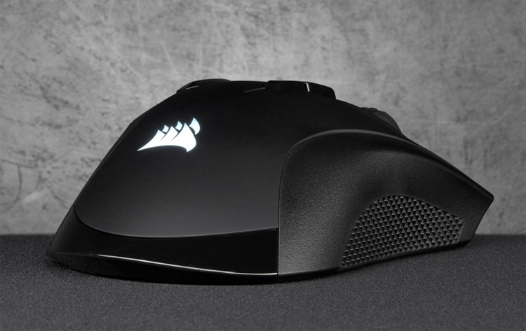 mouse4.jpg