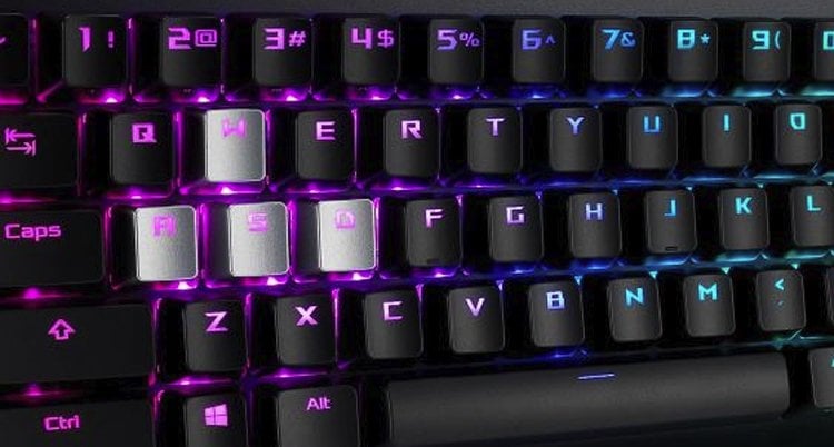 rog2.jpg