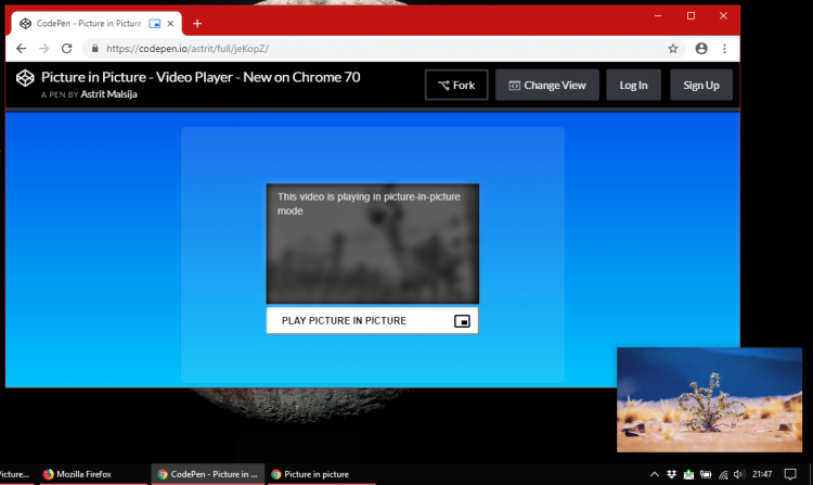 sm.chrome-pip.750.png