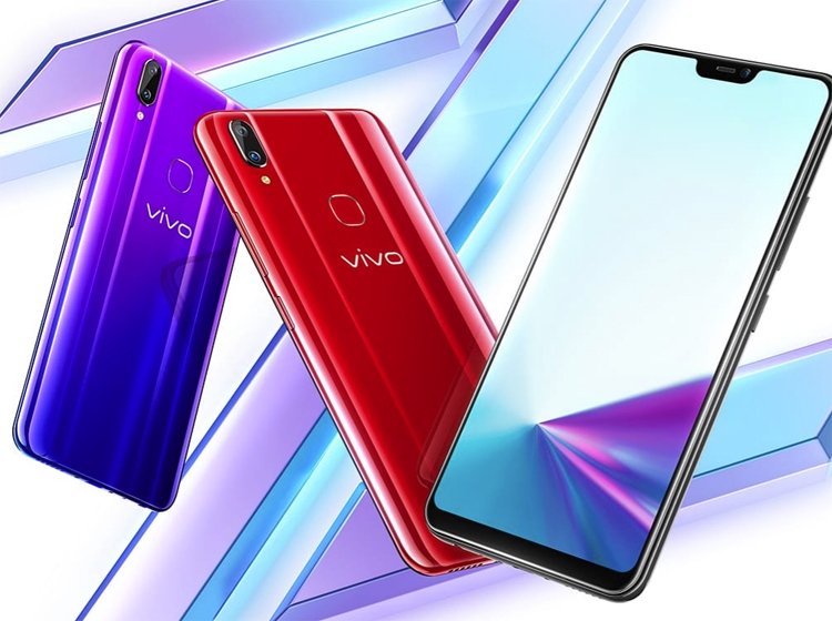 vivo1.jpg