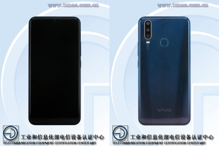 vivo1.jpg
