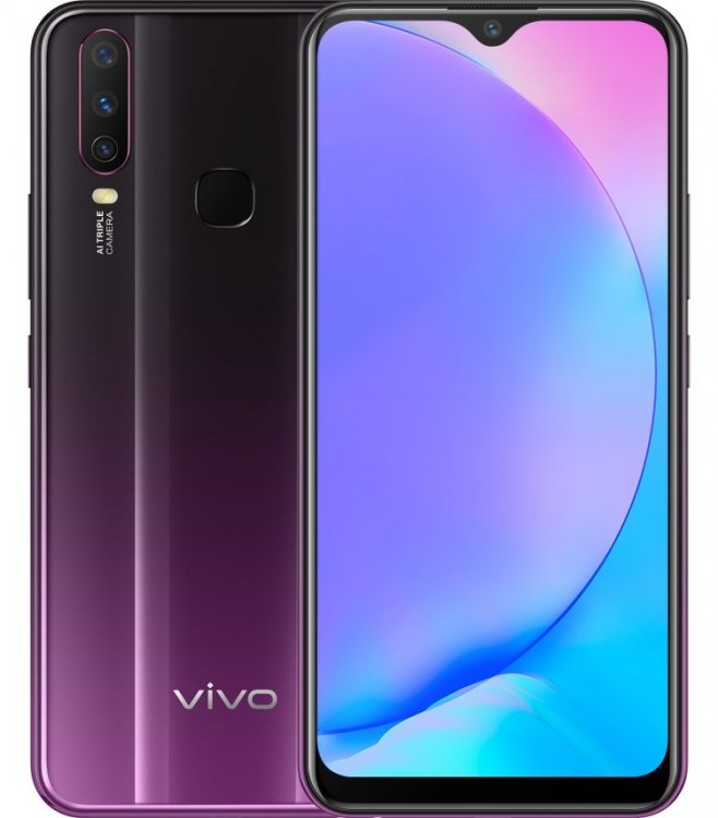 vivo1.jpg