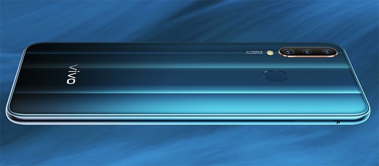 vivo2.jpg