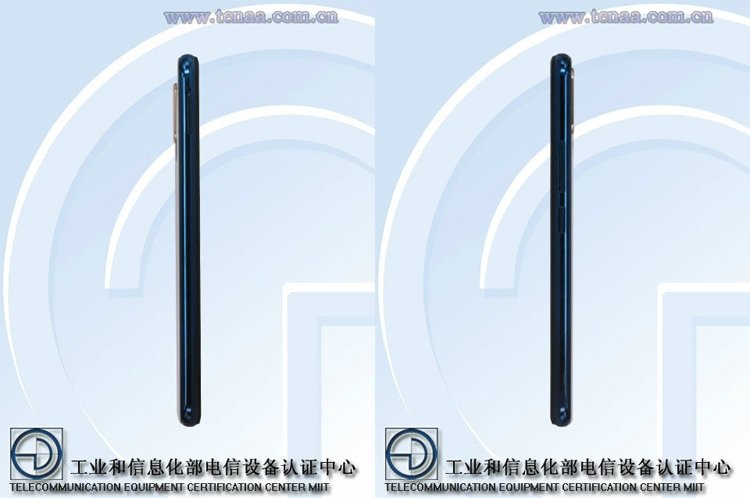 vivo2.jpg