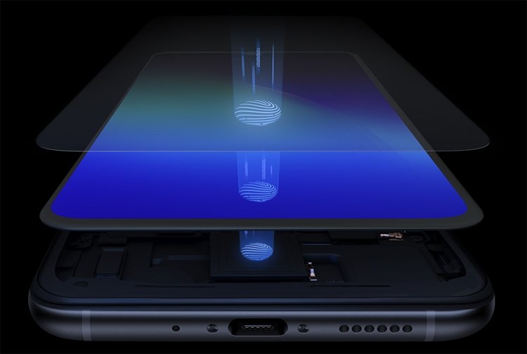 vivo3.jpg