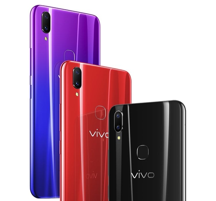 vivo3.jpg