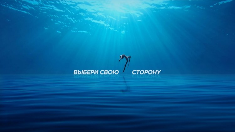 sm.02.750 (1).jpg